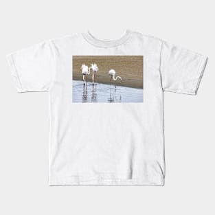 Flamingoes Kids T-Shirt